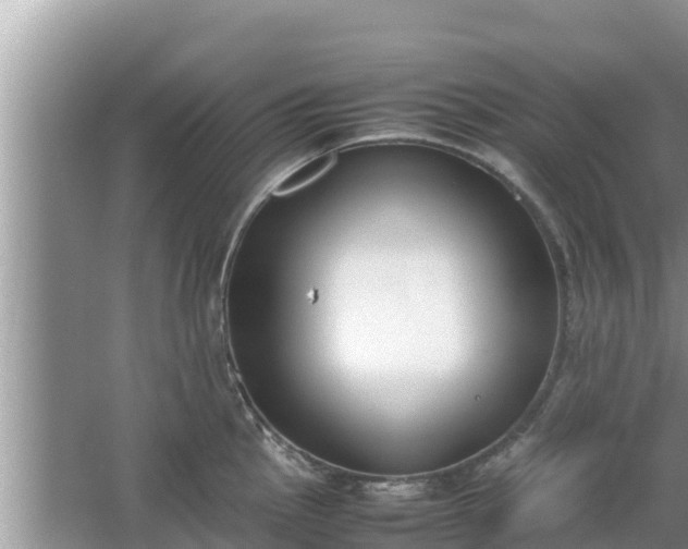 X0000067341145200604071344