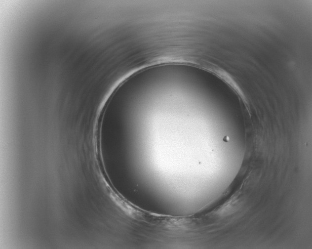 X0000067341148200604071344