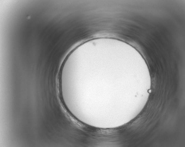 X0000067341150200604071344