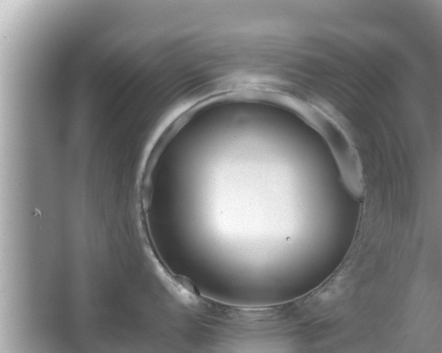 X0000067341152200604071345