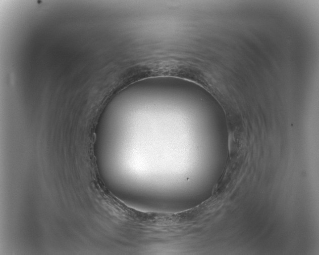 X0000067341153200604071344