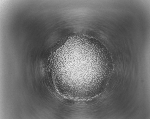 X0000067341154200604071344