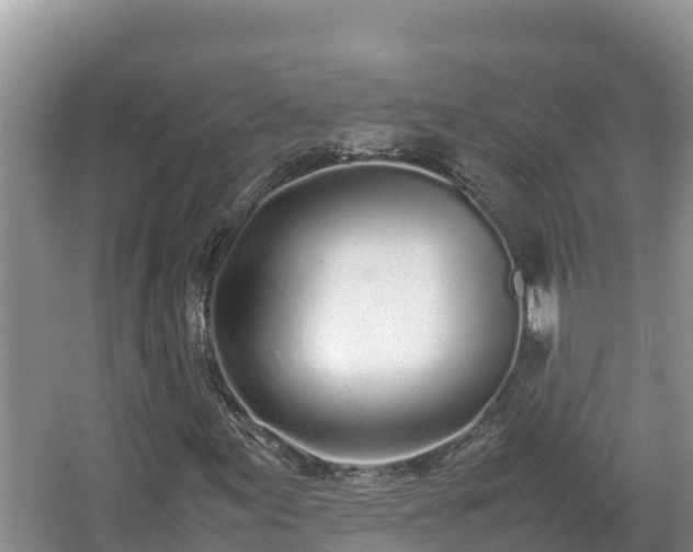 X0000067341155200604071344