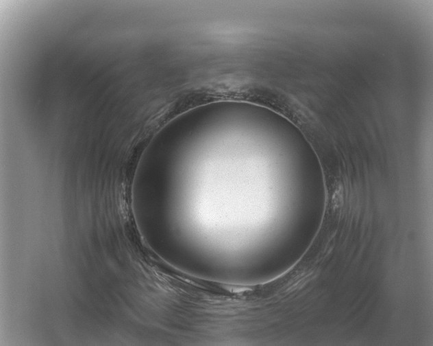 X0000067341156200604071344