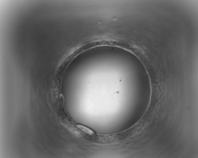 X0000067341159200604071344