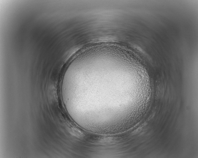 X0000067341162200604071344