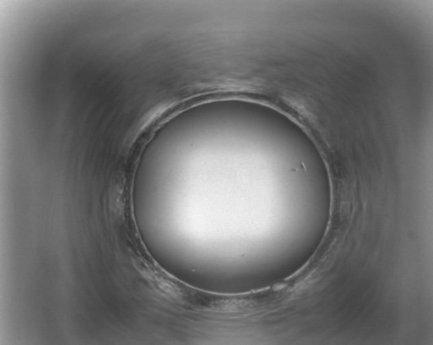 X0000067341163200604071344