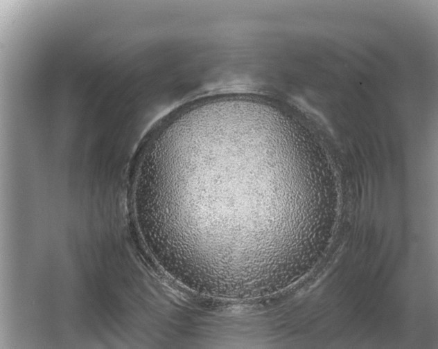 X0000067341166200604071343