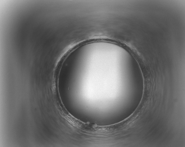 X0000067341167200604071343