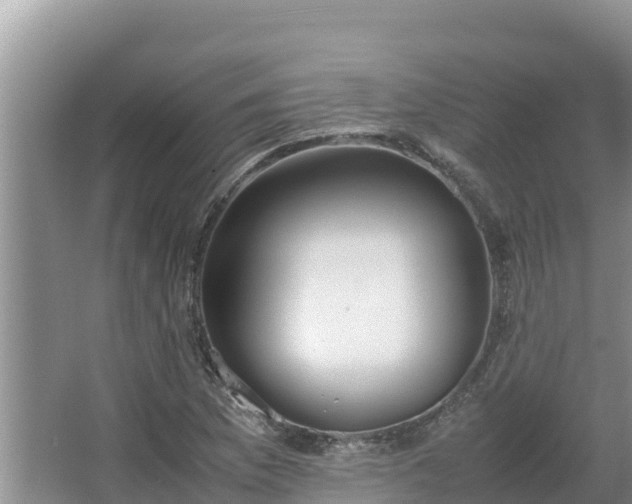 X0000067341169200604071343