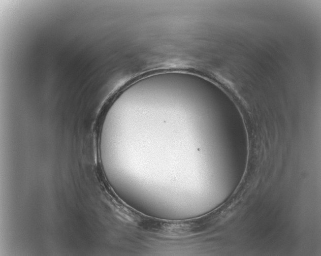 X0000067341171200604071343