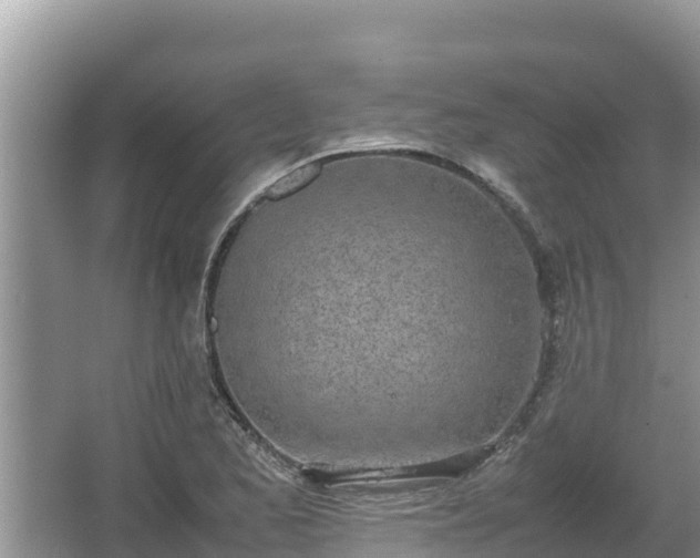 X0000067341173200604071343