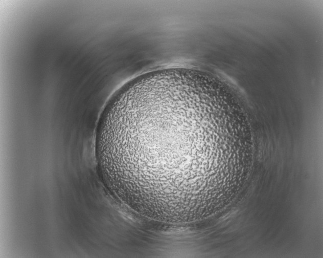 X0000067341174200604071343