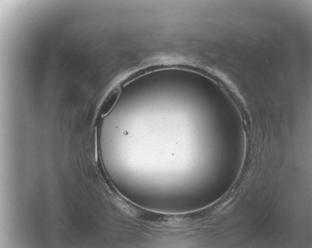 X0000067341175200604071343