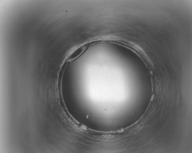 X0000067341176200604071343