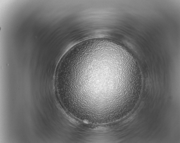 X0000067341178200604071343