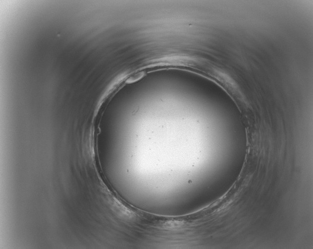 X0000067341180200604071343