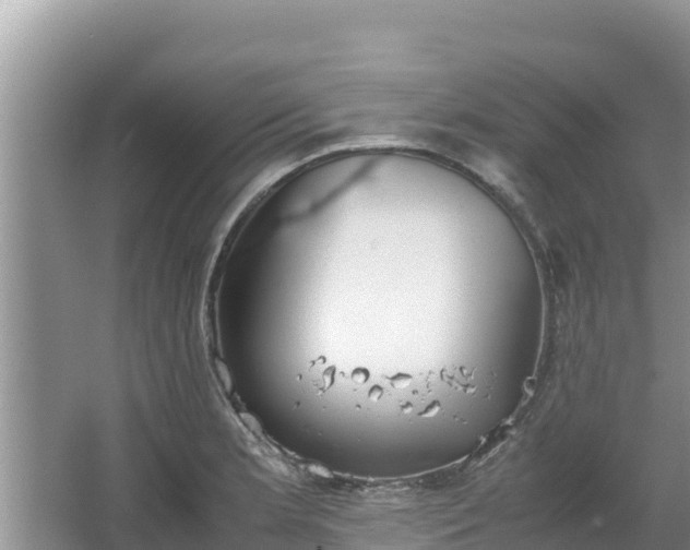 X0000067341181200604071343