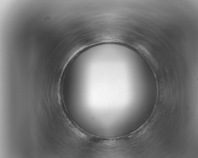 X0000067341182200604071343