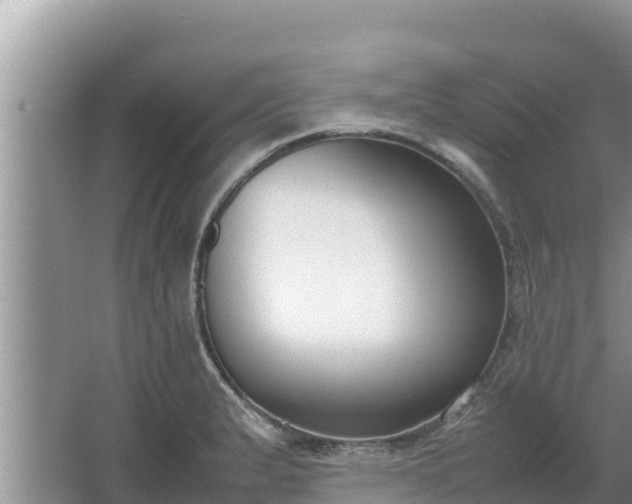 X0000067341183200604071343