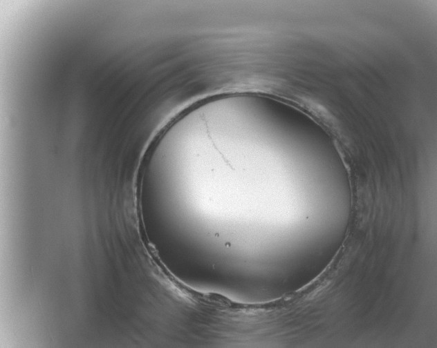 X0000067341184200604071343