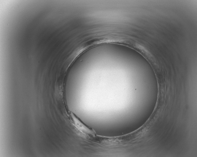 X0000067341185200604071343