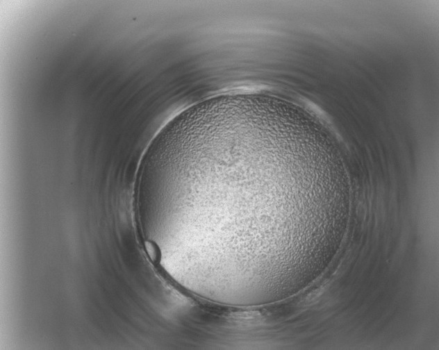 X0000067341186200604071343