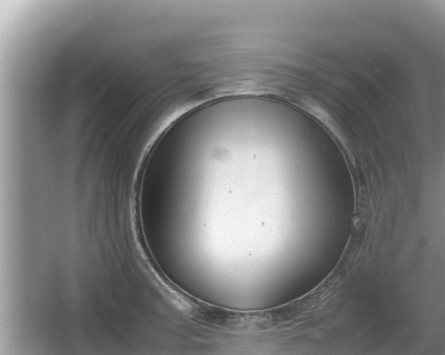 X0000067341187200604071343