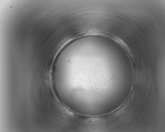 X0000067341190200604071343