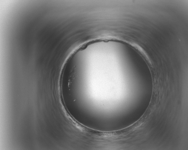 X0000067341191200604071343