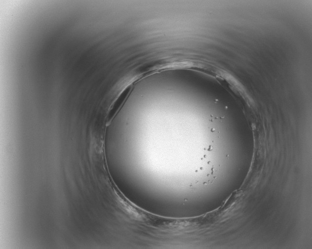 X0000067341193200604071343