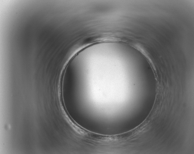 X0000067341195200604071343