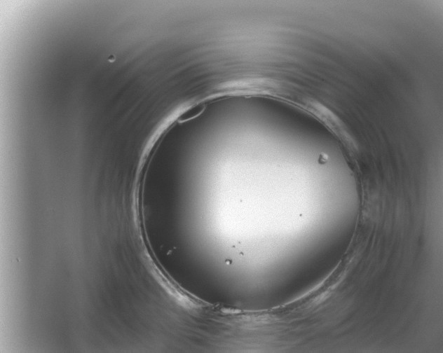 X0000067341196200604071343