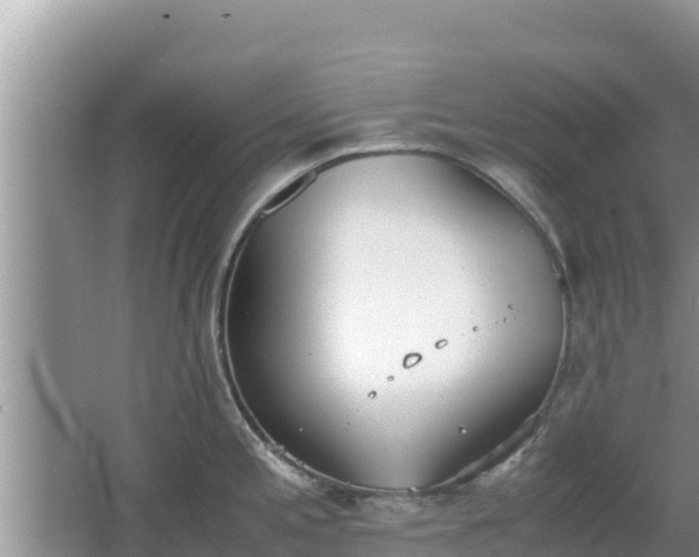 X0000067341197200604071343