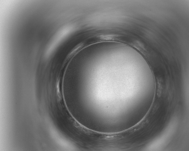 X0000067341198200604071343