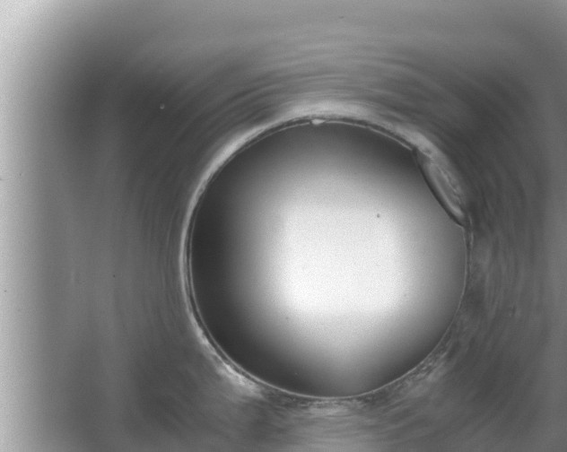 X0000067341199200604071343