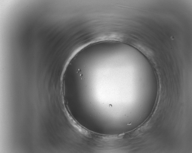 X0000067341200200604071343