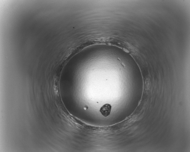 X0000067341202200604071342