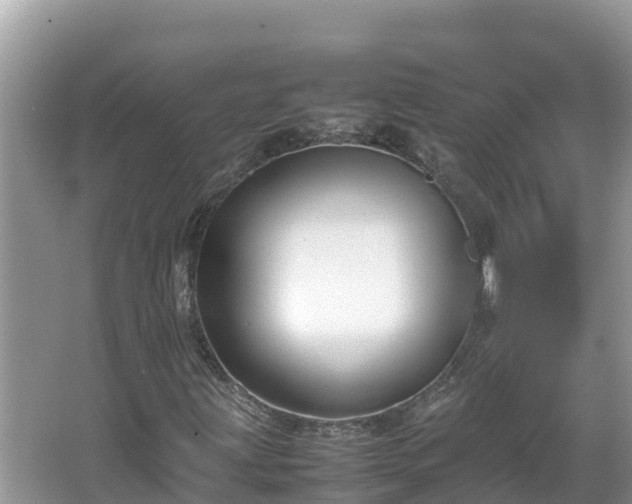 X0000067341203200604071342