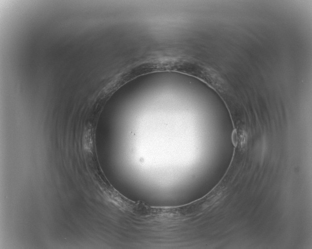 X0000067341204200604071342