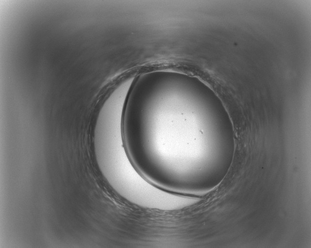 X0000067341206200604071342