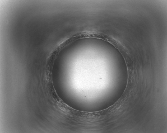 X0000067341207200604071342