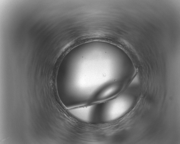 X0000067341210200604071342