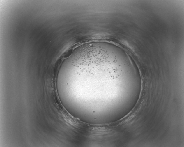 X0000067341211200604071342