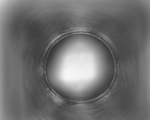 X0000067341212200604071342