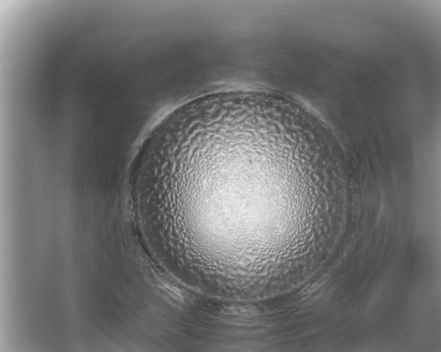 X0000067341215200604071342