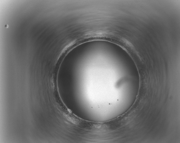 X0000067341218200604071342