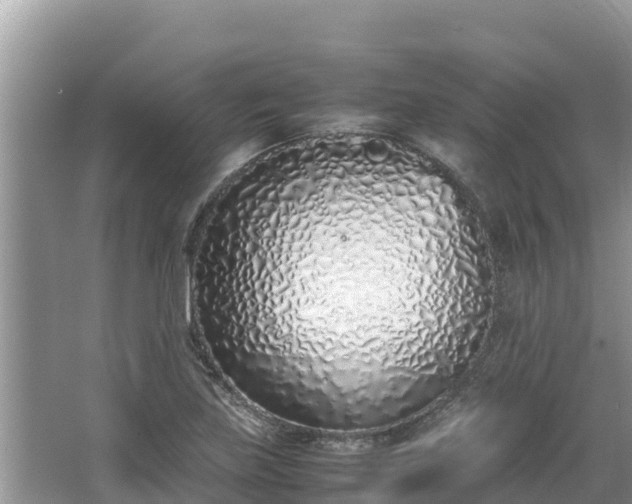 X0000067341219200604071342