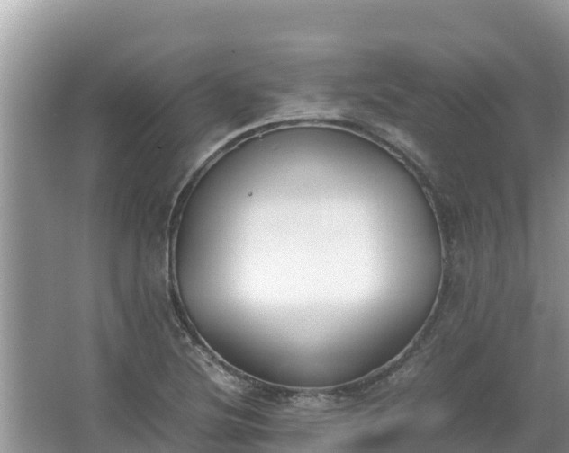 X0000067341220200604071342