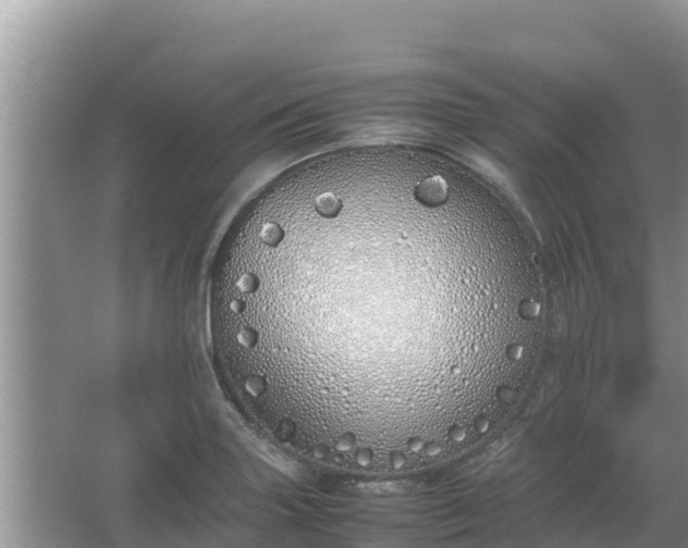 X0000067341227200604071343